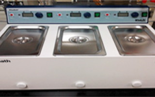 COD Bath (1개)